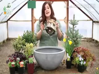 ساخت دیش گاردن بسیار زیبا به همراه آبنما