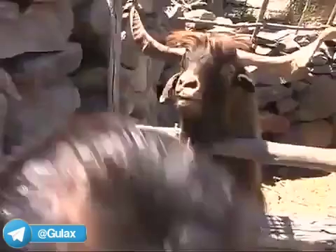 وقتی داری با معلمت حرف میزنی