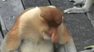 غذا خوردن پسرا
