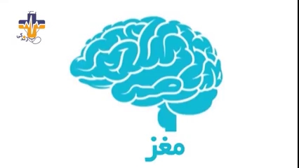 دانستنی ها - قسمت اول - مغز چگونه کار می کند؟  