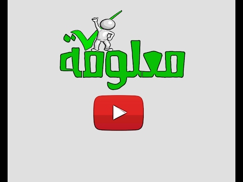 غذای رمضان- دستور تهیه شامی کباب 2-غذای افطار-غذای مخصوص ماه رمضان