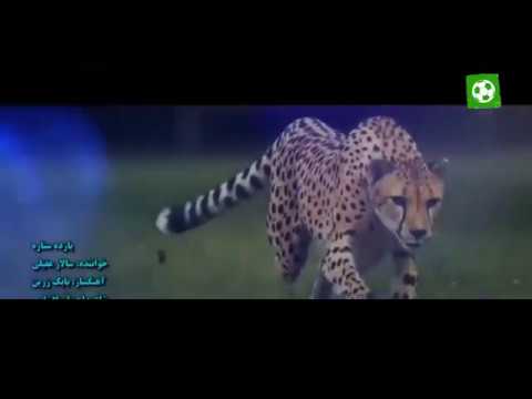 موزیک ویدیوی رسمی تیم ملی ایران برای جام جهانی 2018