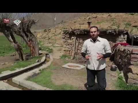 روستای افجه ؛ از چنار چهارصد ساله و قصر مخروب قاجار، تا دشت هویج و صعود به پرسون