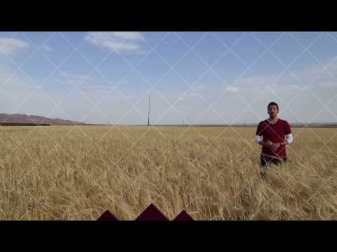 برنامه تهرانگرد فشافویه