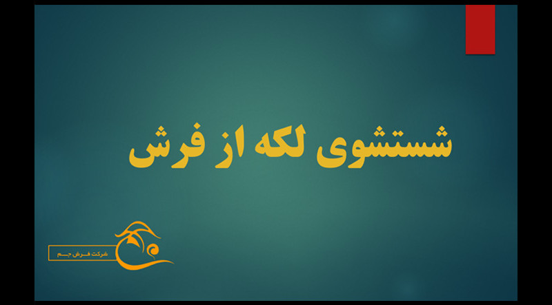 برطرف کردن لکه ها از فرش