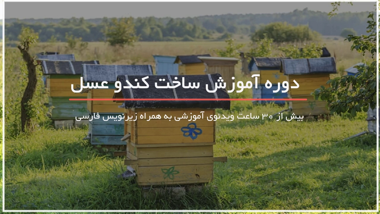 چگونه برای زنبوراتون کندو بسازین؟!