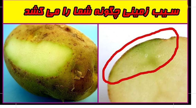 ده تا از خوراکی هایی که نباید بخورید