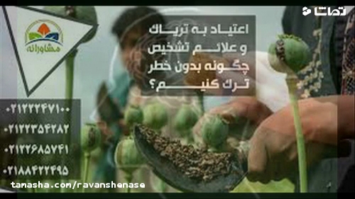 اگر می خواهید به الزایمر مبتلا نشوید حتما
