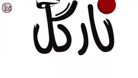 کباب کوبیده زعفرانی مرغ فوق العاده خوشمزه