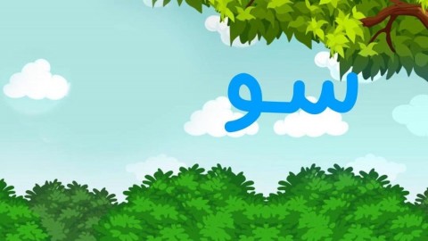 آب در ترکی